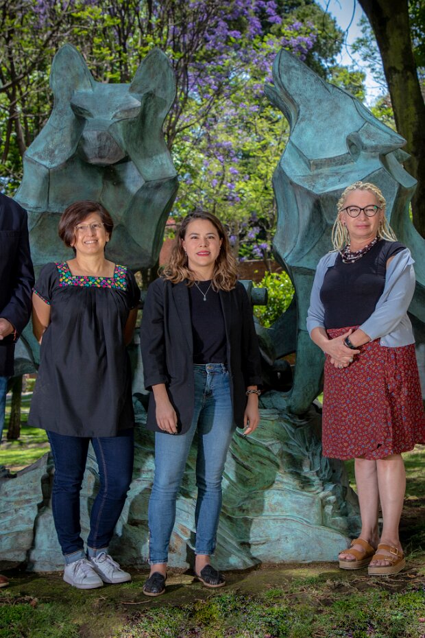 Dirección de incidencia